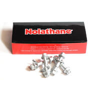 Camber adjusting - bolt (Camber Adjusting Bolt Kit) 