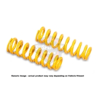 fits pajero NM Fr RAISED Comfort* (Suspension Spring) 